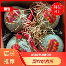 山东烟台冰激凌哈密瓜，软糯香甜，大量上市，