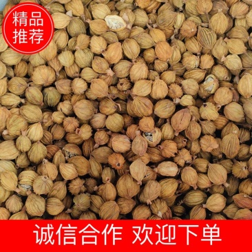 宜宾香砂产地直发量大从优诚信合作欢迎来电咨询