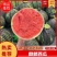 麒麟西瓜广东西瓜包熟包甜沙甜多汁诚信为本大量供