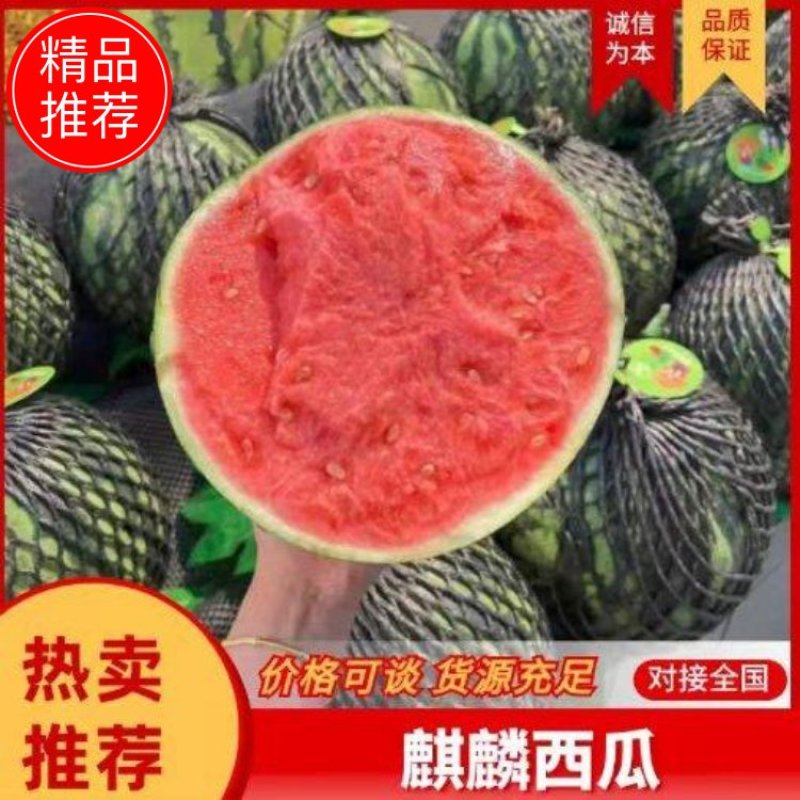 麒麟西瓜广东西瓜包熟包甜沙甜多汁诚信为本大量供