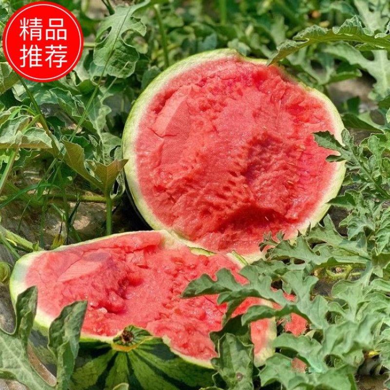 【实力代办】精品甜王西瓜皮薄多汁甜度高保质保量