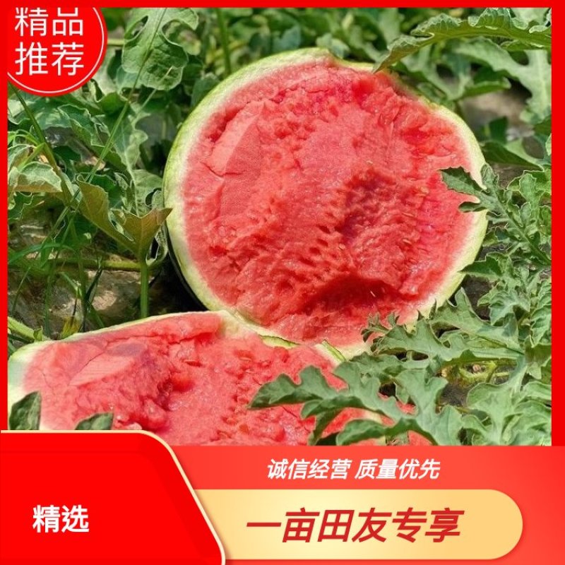 【实力代办】精品甜王西瓜皮薄多汁甜度高保质保量