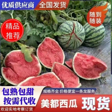 【优选】广东雷州美都西瓜产地一手货清甜可口对接全国