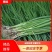 云南小香葱常年供应现挖现发品质保证产地直发