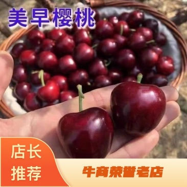 【优质】山东樱桃美早樱桃-产地直发-价格优惠-支持看货