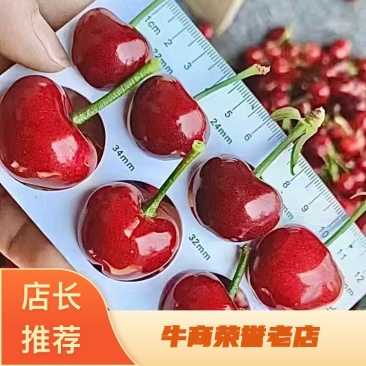 山东樱桃美早樱桃-产地直发-价格优惠-支持看货电商果