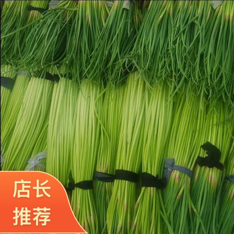 蒜薹，红帽蒜薹，全国发货，支持视频查看，量大从优，欢迎来电