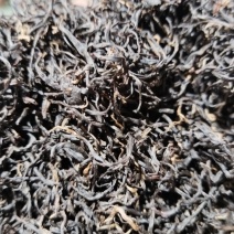 工夫红茶英红工夫利川红金观音红茶批发湖北恩施利川