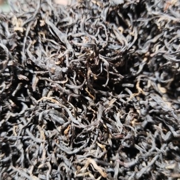 工夫红茶英红工夫利川红金观音红茶批发湖北恩施利川