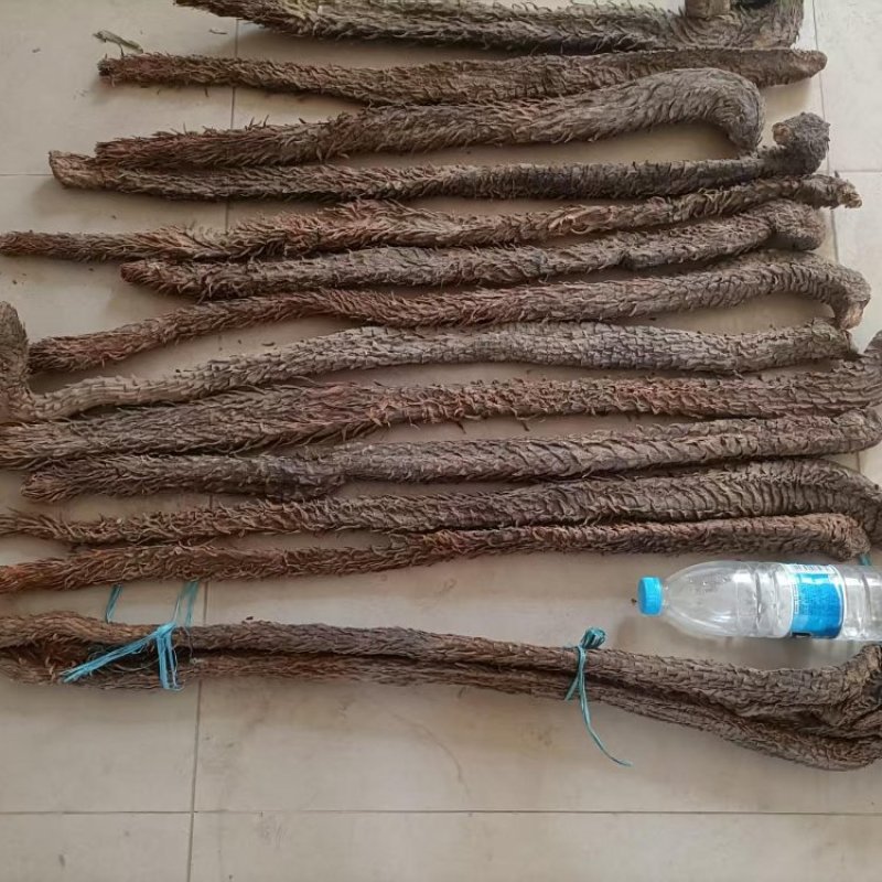 【一斤起售】肉苁蓉干货厂家直销量大质优价格优惠