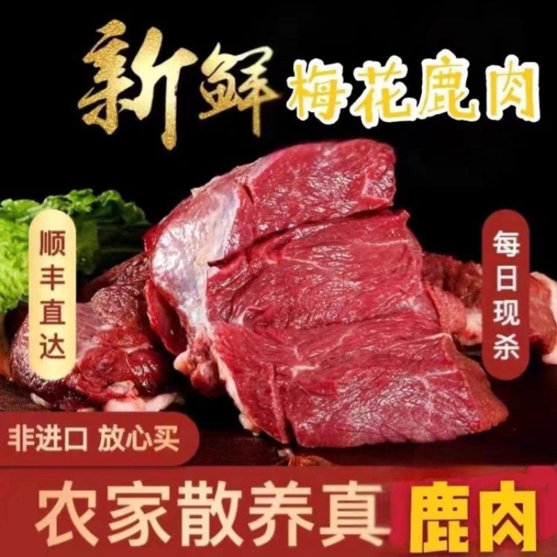 新鲜精品鹿肉农家散养鹿肉厂家直销量大质优价格优惠