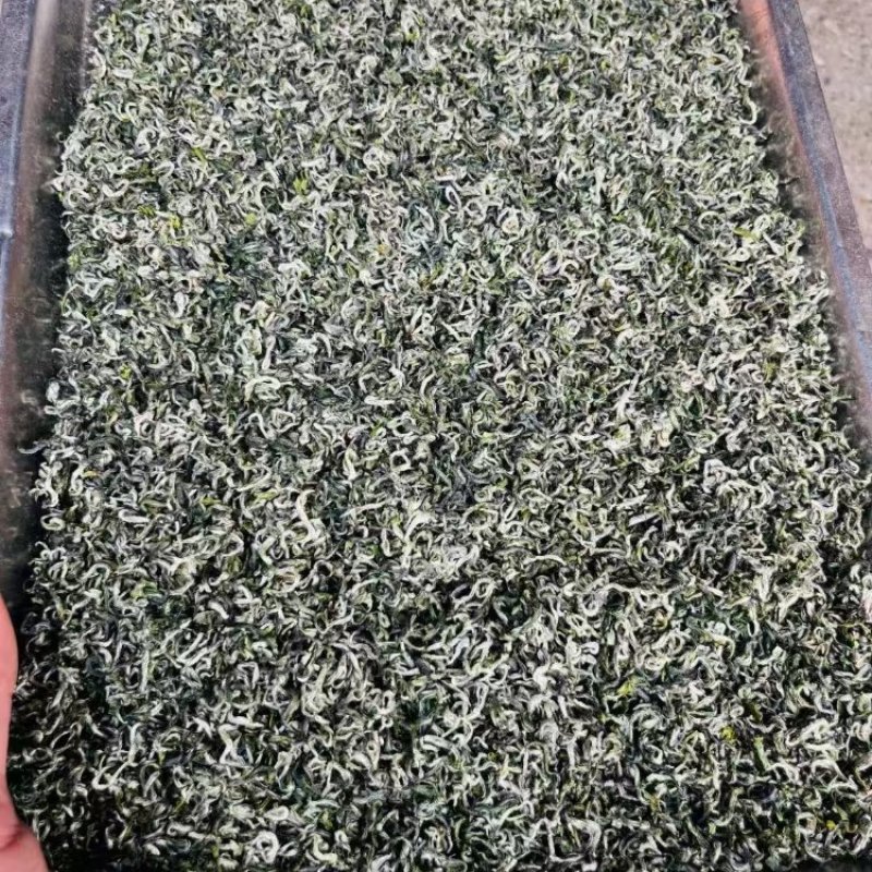 【绿茶】石阡苔茶产地直销保质保量价格优惠欢迎咨询