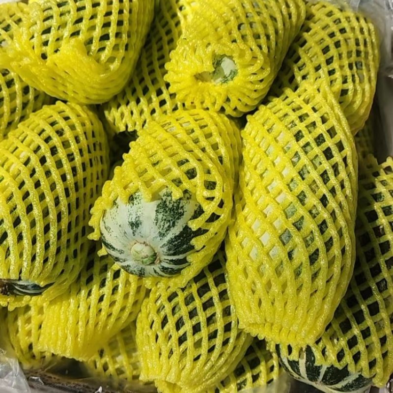 博洋甜瓜基地直销保质保量支持视频看货一手货源