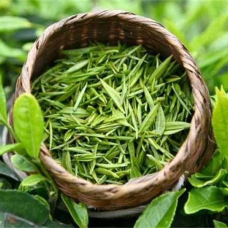石阡苔茶，精品茶叶基地直销保质保量价格优惠一手货源