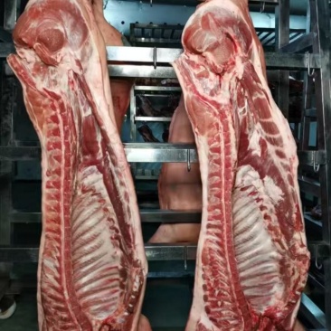 猪肉白条猪基地直销量大质优价格优惠一手货源欢迎采购