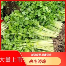 香芹支持视频看货，可发往全国市场