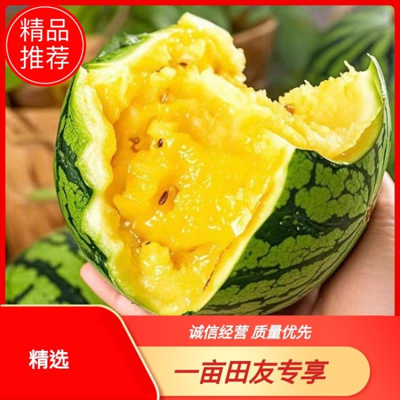 【推荐】特小凤西瓜保质保量皮薄多汁全国代发精选