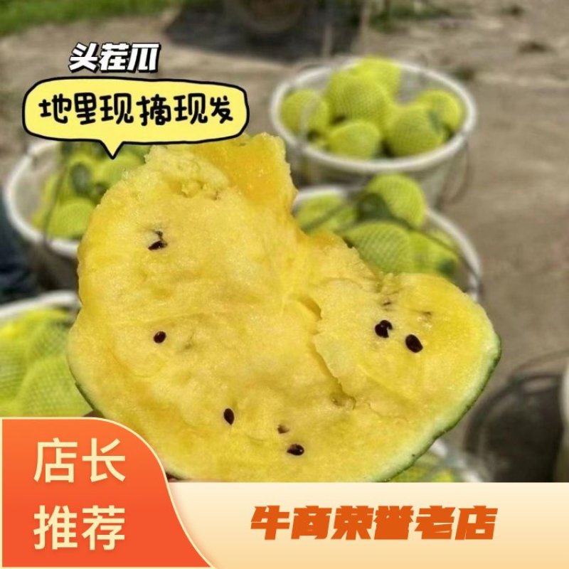 【实力商家】特小凤西瓜现摘现发万亩基地批发甜度高