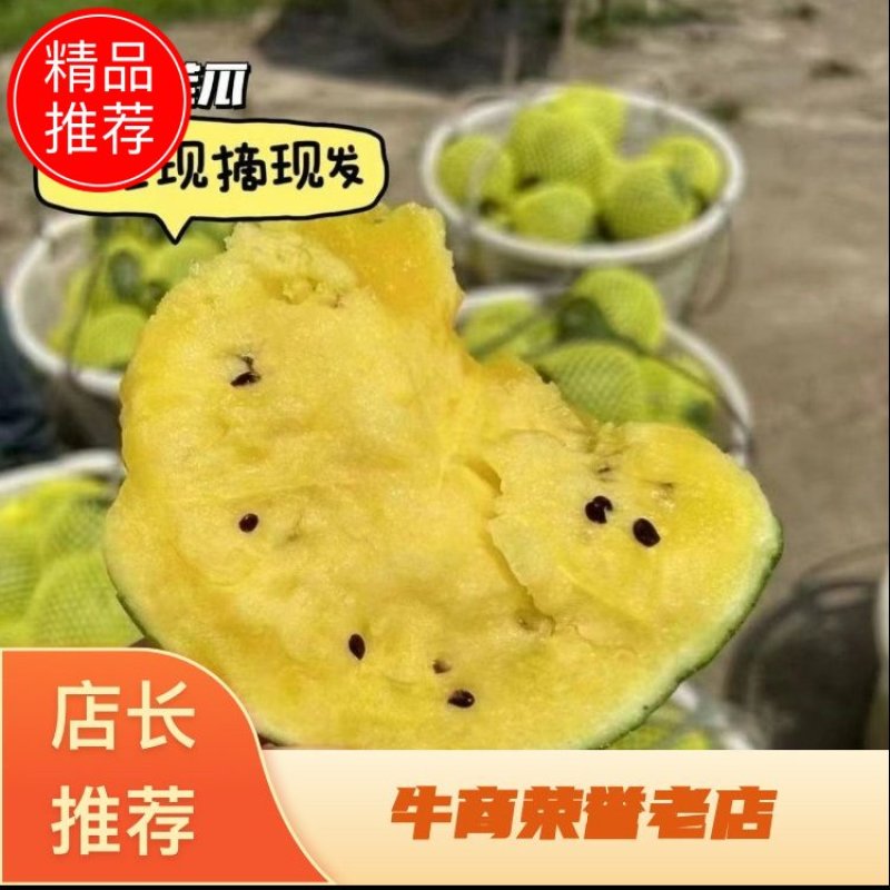 【实力商家】特小凤西瓜现摘现发万亩基地批发甜度高