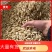 绵阳三台县花园镇川麦冬大量上市产地一手货源