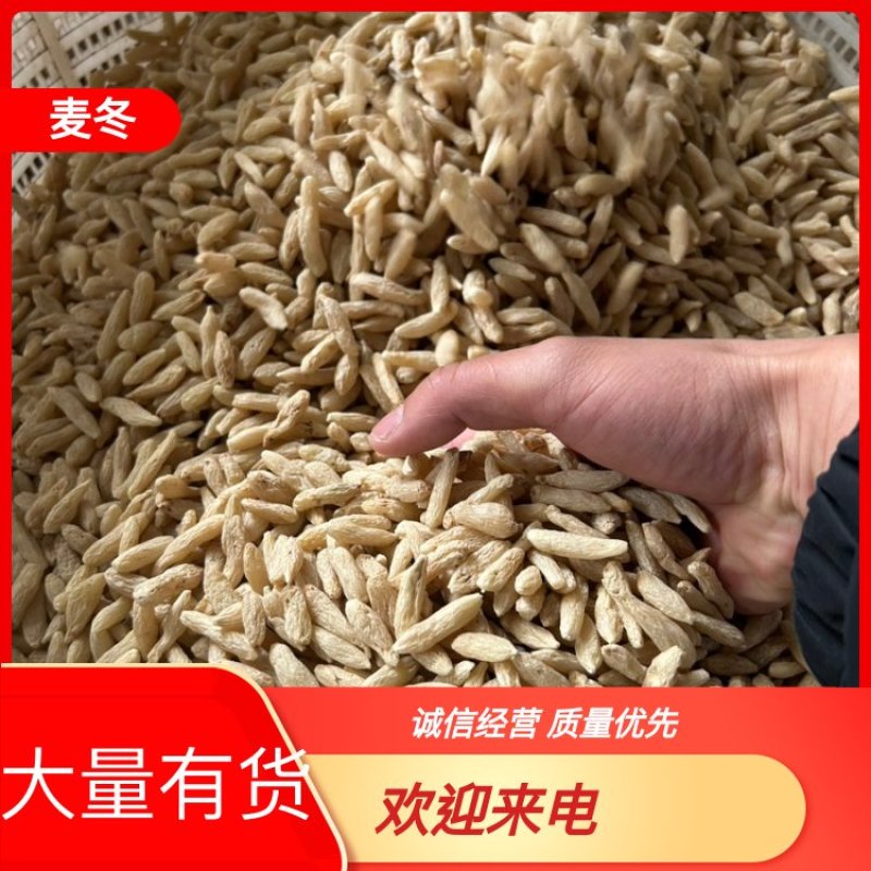 绵阳三台县花园镇川麦冬大量上市产地一手货源