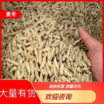 绵阳市三台县花园镇川麦冬源头厂家量大从优