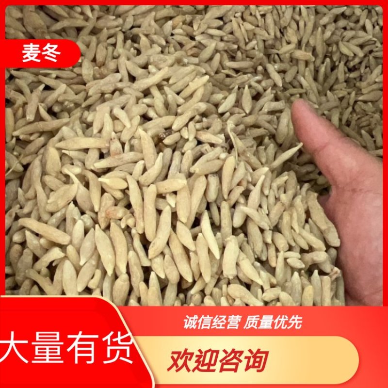 绵阳市三台县花园镇川麦冬源头厂家量大从优
