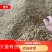 绵阳市三台县花园镇川麦冬源头厂家量大从优