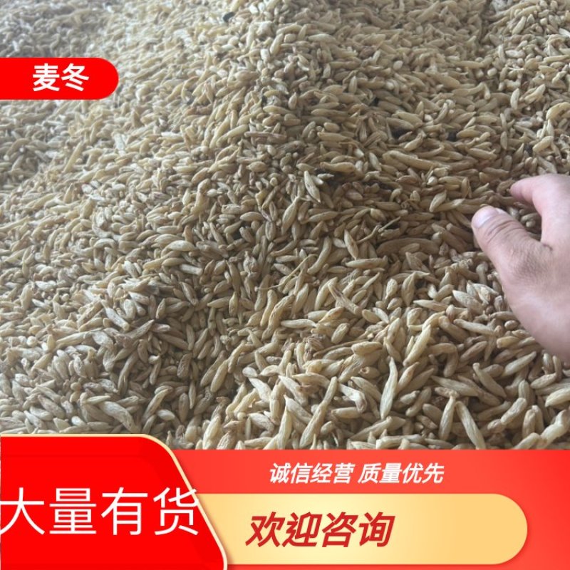 绵阳市三台县花园镇川麦冬源头厂家量大从优