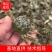 盘锦优质蟹苗河蟹苗基地直供高产蟹苗无病无菌技术指导
