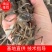 盘锦稻田高产光合蟹苗无病无菌成活率高无磨爪可全国发货