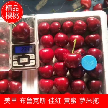 樱桃美早樱桃布鲁克斯樱桃佳红樱桃黄蜜樱桃萨米拖樱桃