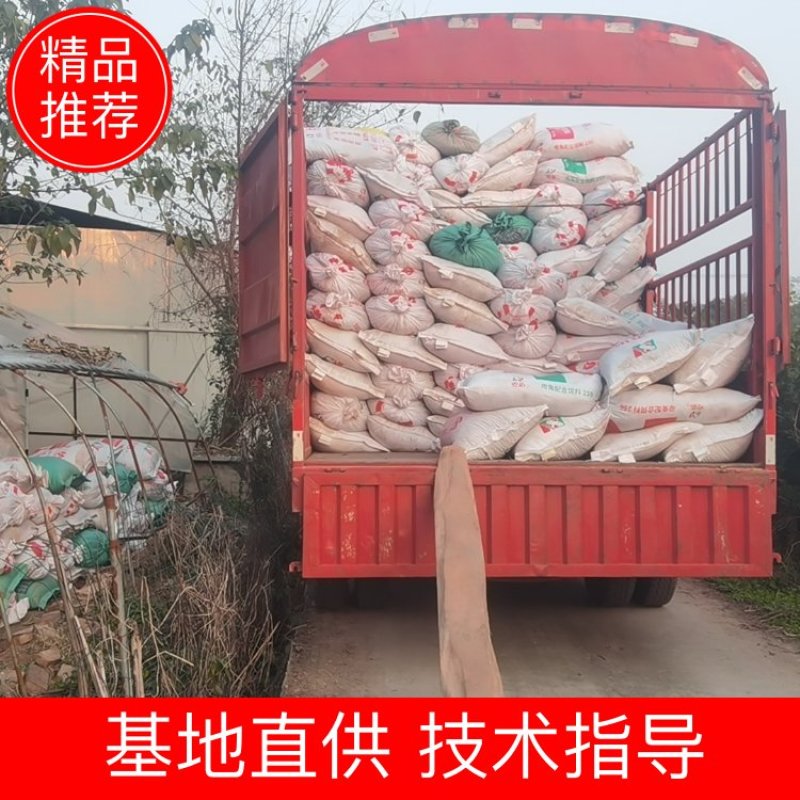 【精选】发酵兔粪大型肉兔养殖场直供（随时有货）量大从优
