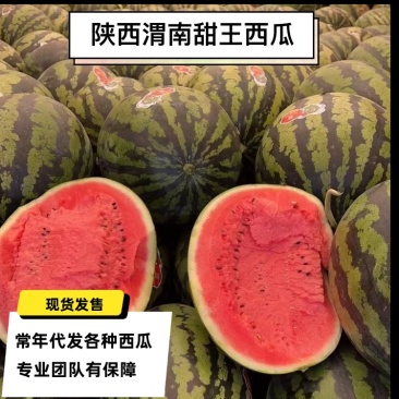 【陕西甜王】大量现货供应，价格合适，一条龙服务，按需打包