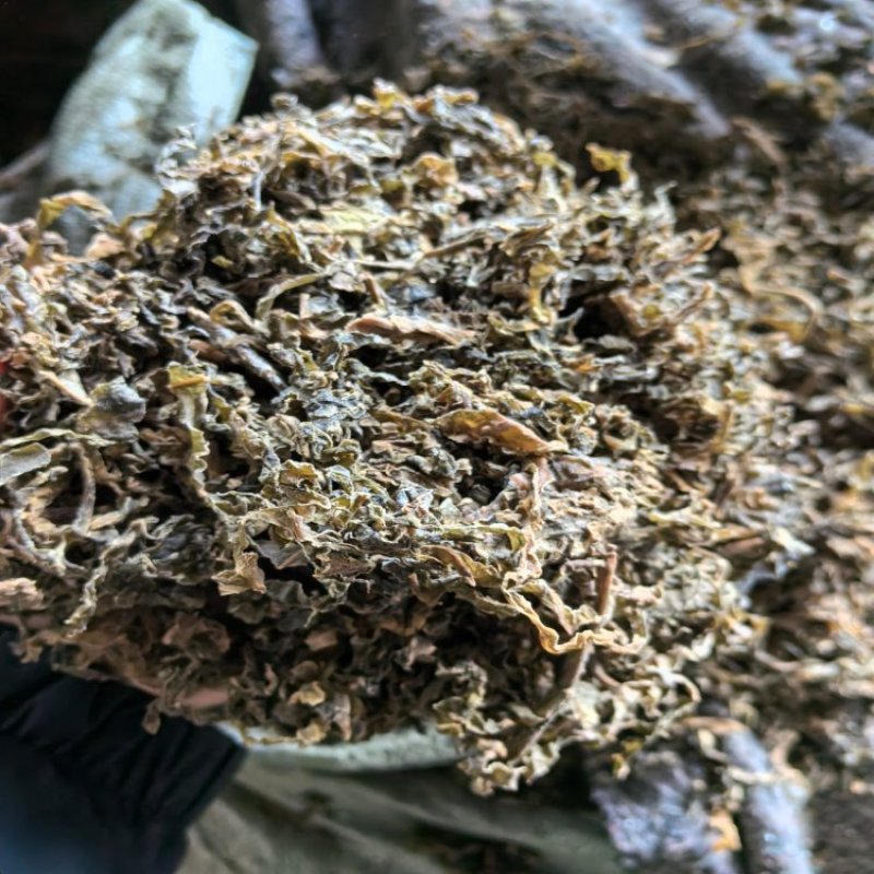 常年有货梅干菜产地批发大量供货价格优惠欢迎咨询合作