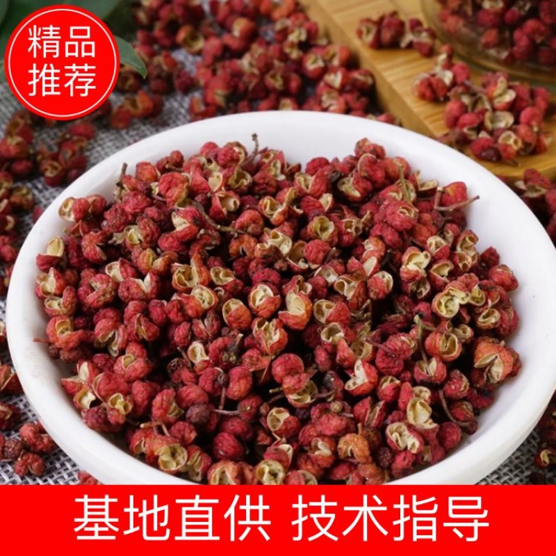 陕西韩城特产大红袍干花椒自然风干支持一件代发可视频