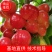 【实力】山西临汾布鲁克斯樱桃产地直销量大从优可视频看货