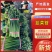 梁山致诚韭菜苔韮苔货站产地直销货源充足欢迎咨询采购