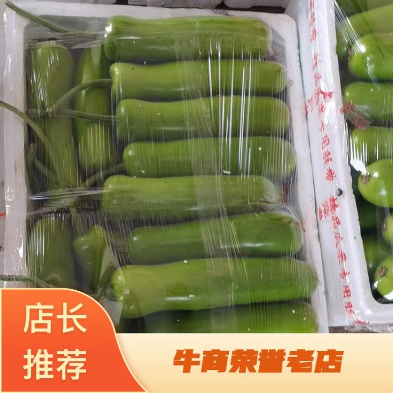 浙江瓠瓜夜开花葫芦瓜一手货源量大从优长短瓠瓜都有