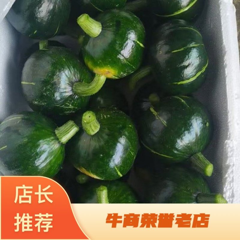 浙江青南瓜日本南瓜基地直供量大从优欢迎联系