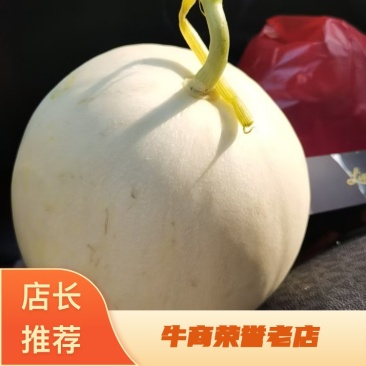 热卖玉菇甜瓜白皮绿肉甜美多汁货源充足供全国商超