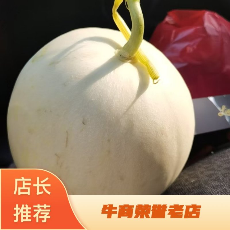 热卖玉菇甜瓜白皮绿肉甜美多汁货源充足供全国商超