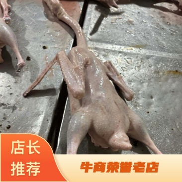 全净膛仔鹅