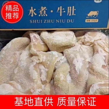全熟牛肚（解冻即用）可视频看货
