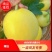 【精品甜瓜】蜜甜多汁对接商超社团量大从优脆甜爽口