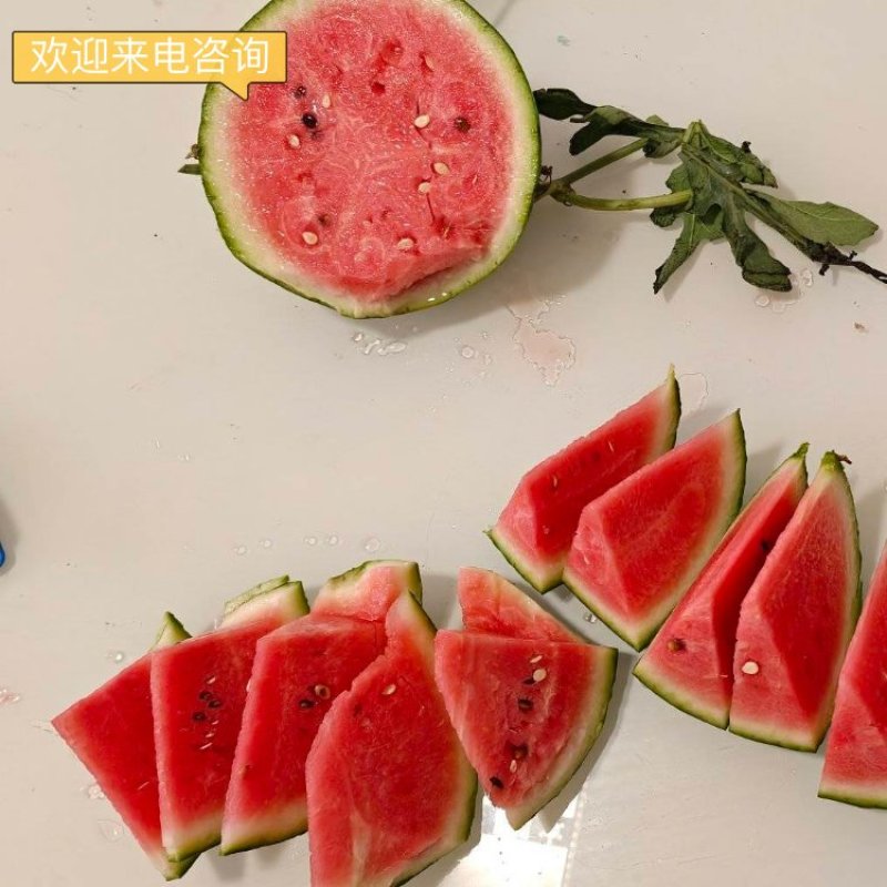 无籽美都西瓜/产地直发/品质好，承接各大商超，水果市场