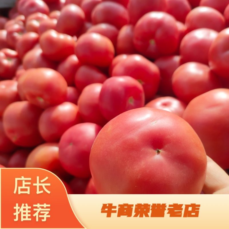 硬粉西红柿原产地三原直发全国，可视频看货热卖中