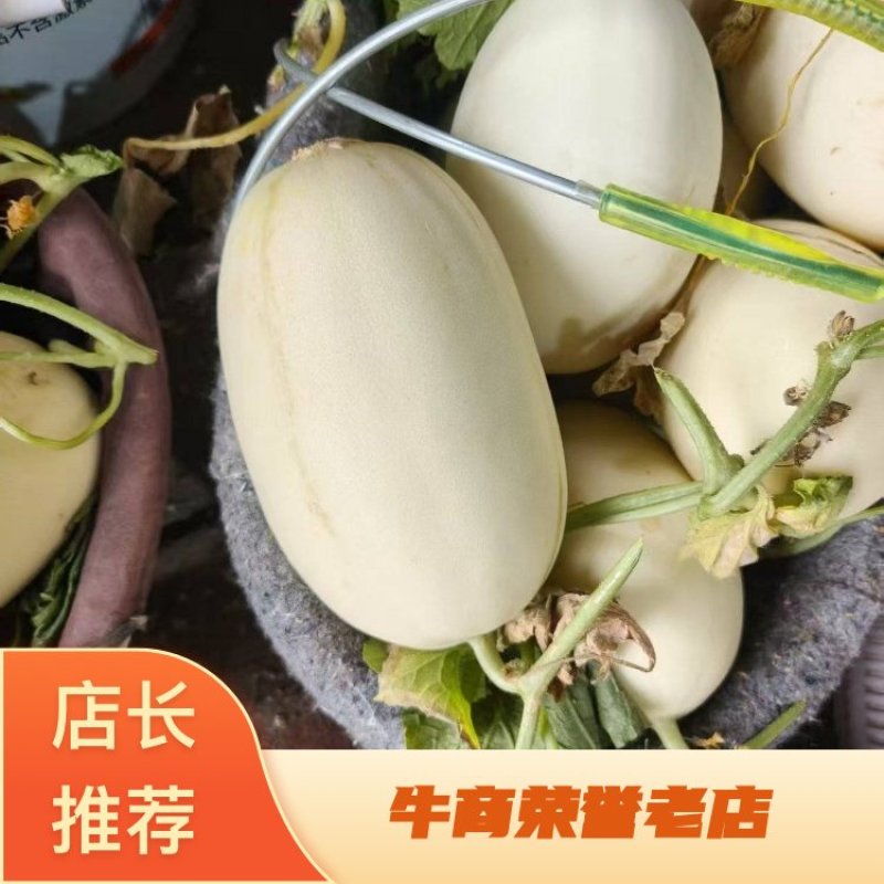 阜阳冰糖甜瓜甜度高口感号基地直可视频看过