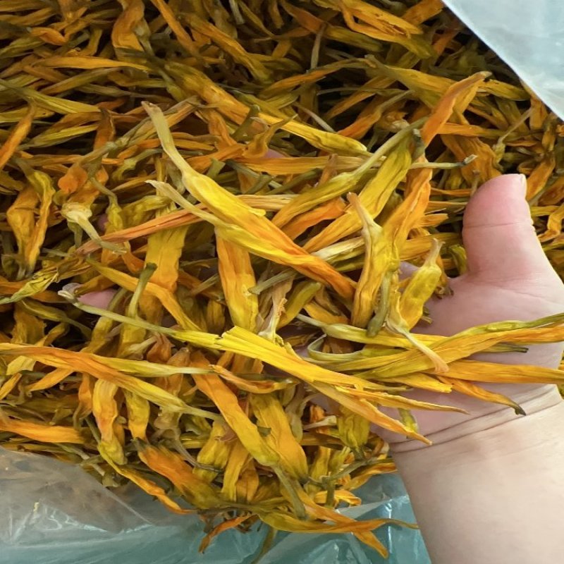 【热卖】干黄花菜台湾品种黄花菜全国包邮欢迎各大老板采购