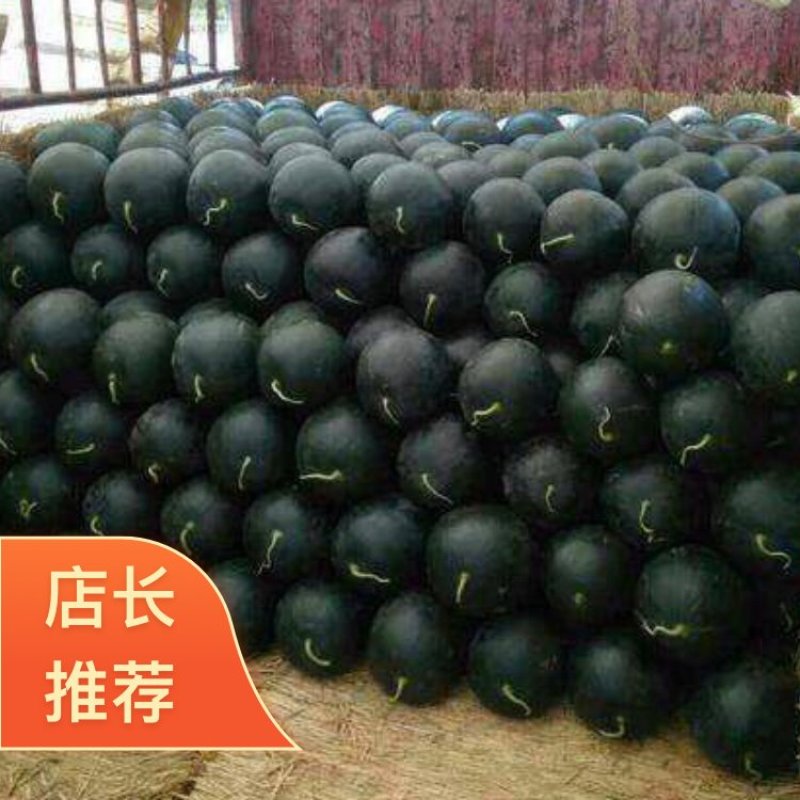 【黑皮无籽】头茬供应，10斤起步，质优价廉，产地直供